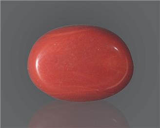 Natural Red Coral (J)  17.68 RTS - 65003